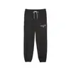 Puma TEAM Sweatpants Siyah Erkek Eşofman Altı