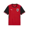 Puma ÖFB Home Jersey Replica Kırmızı Erkek Forma