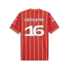 Puma SF Team Soccer Jersey Kırmızı Erkek Forma