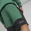 Puma PL Sweat Shorts Vine Vine Erkek/Unisex Günlük Şort