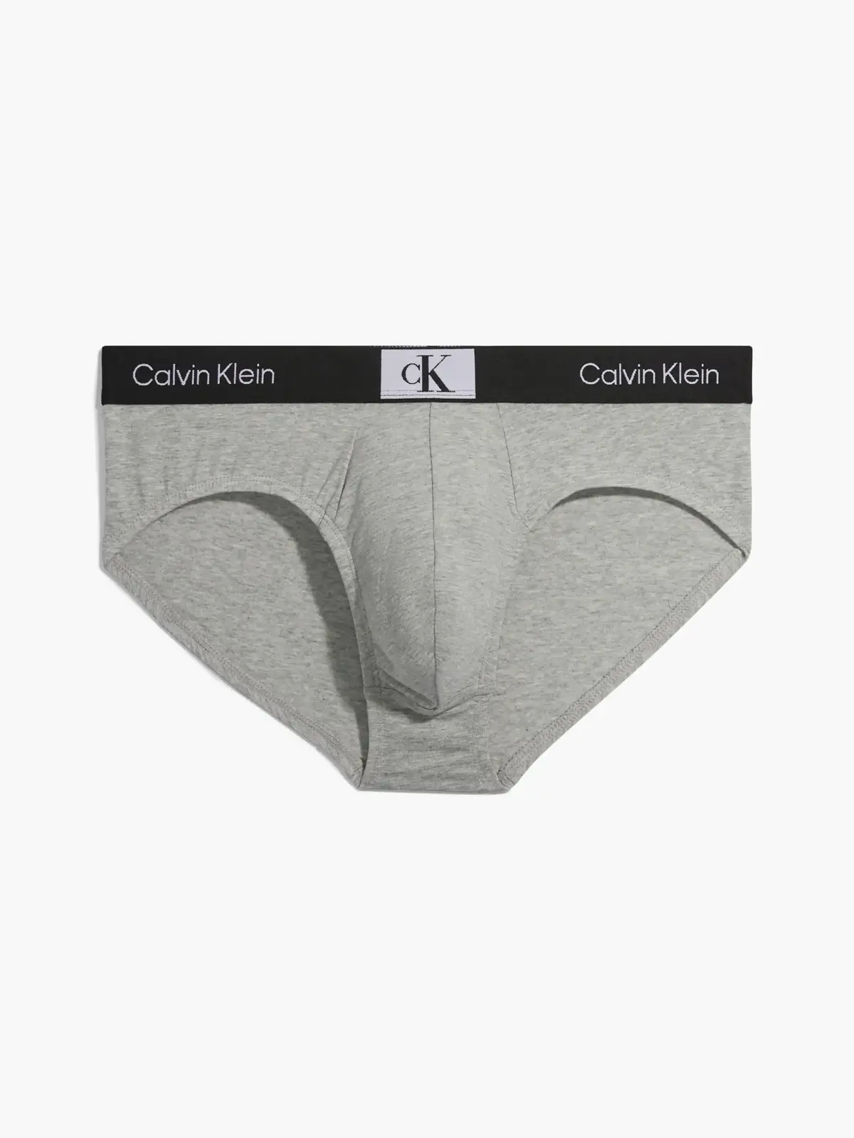 Calvin Klein HIP BRIEF Erkek Gri Slip